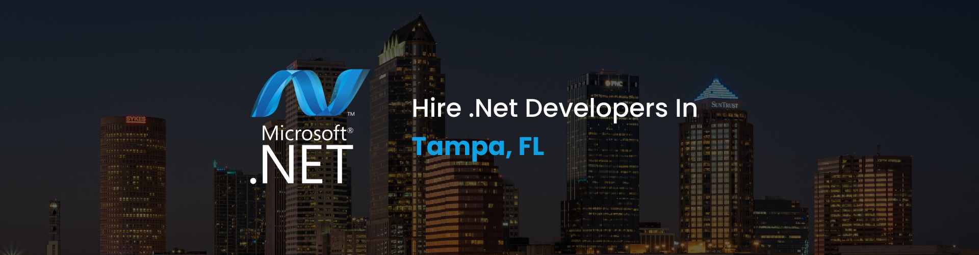 hire dot net developers in tampa