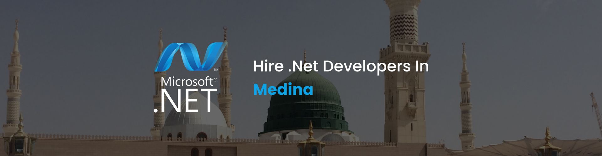 hire .net developers in medina