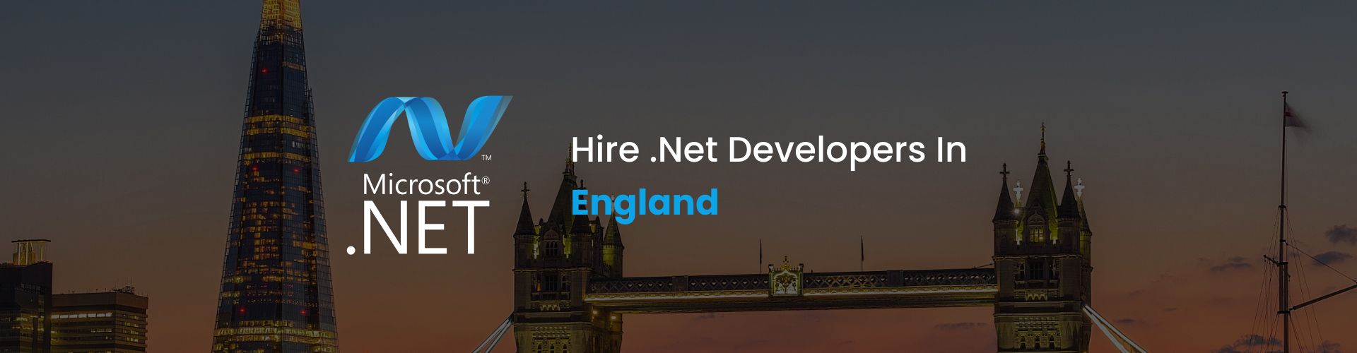 hire dot net developers in england