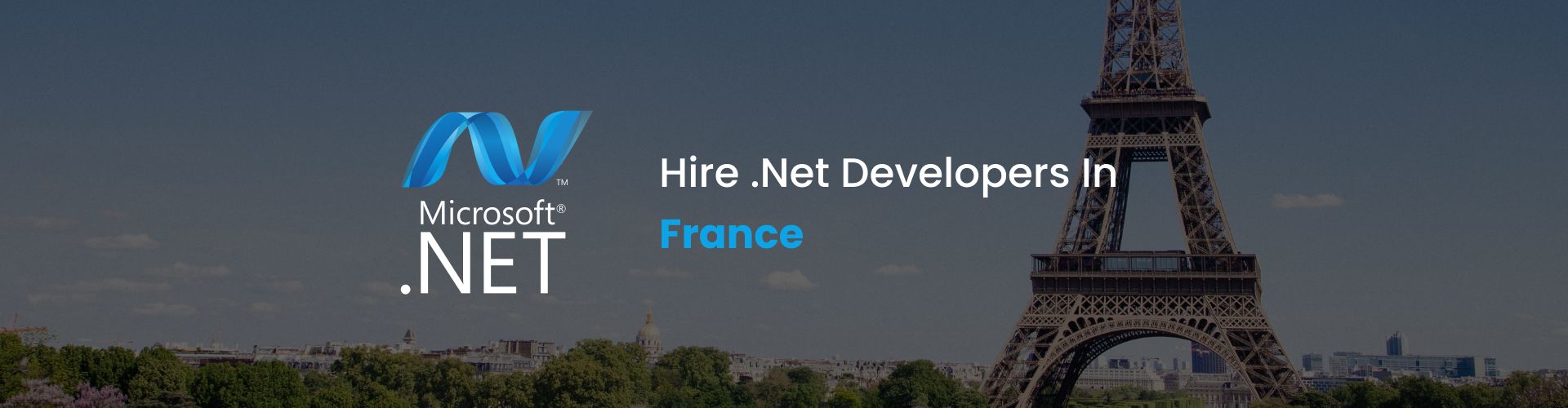 hire .net developers in france