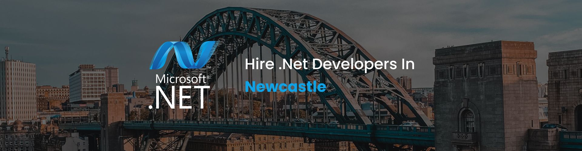 hire dot net developers in newcastle