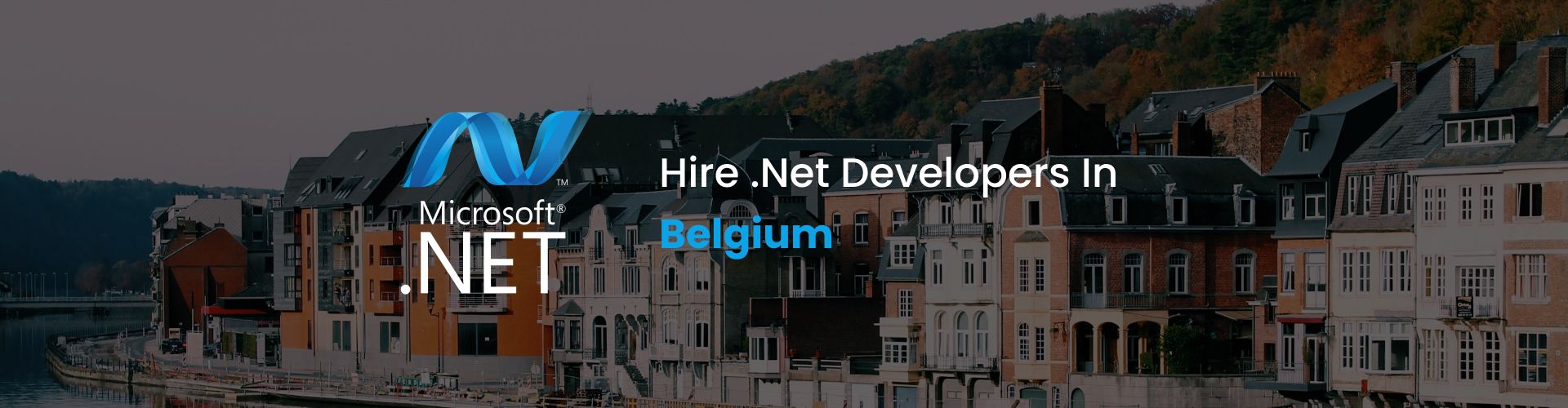 hire .net developers in belgium