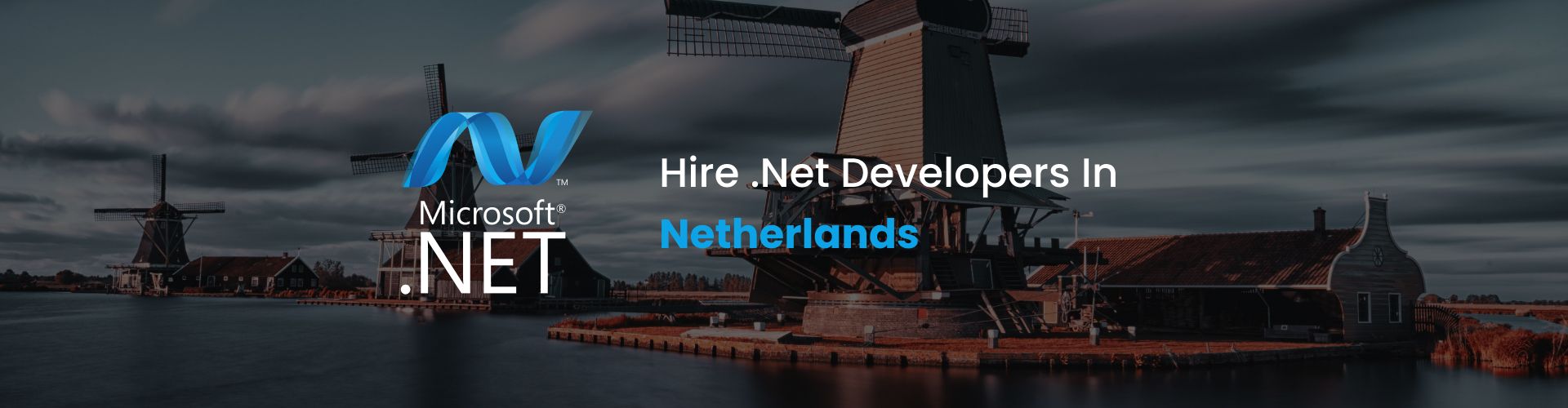 hire .net developers in netherlands