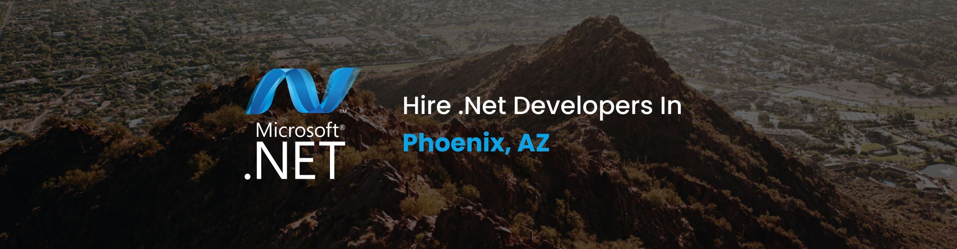 .net developers phoenix
