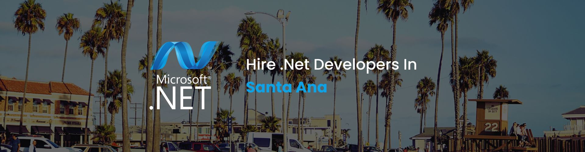 .net developers santa ana