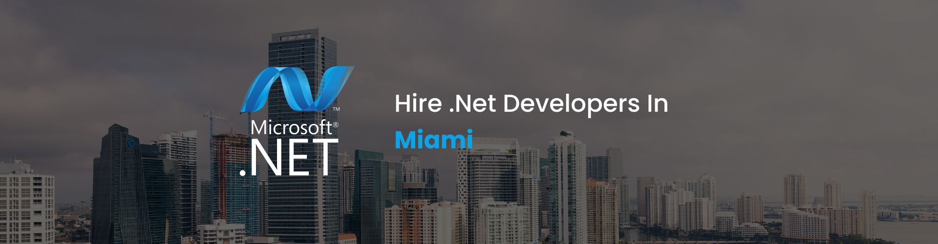 .net developers miami