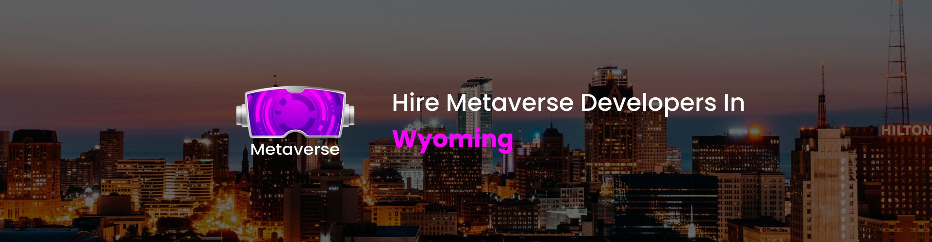 hire metaverse developers in wyoming