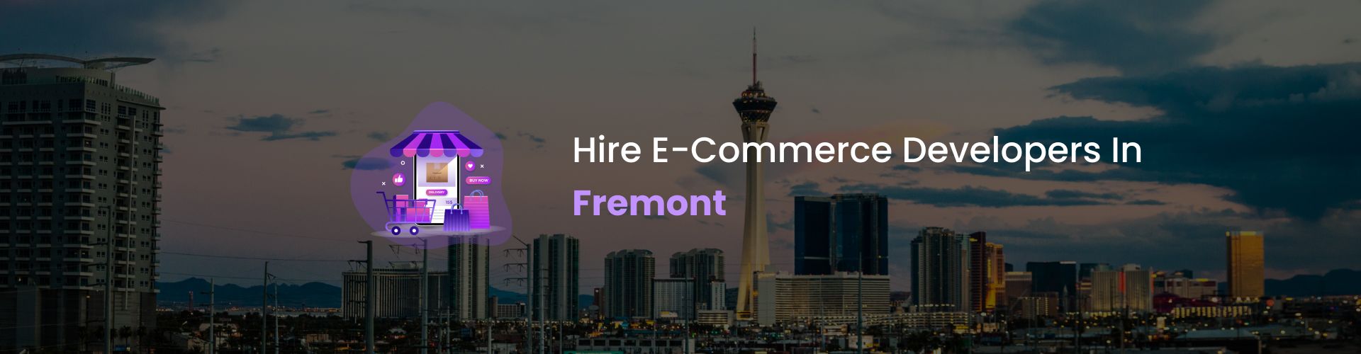 ecommerce developers fremont