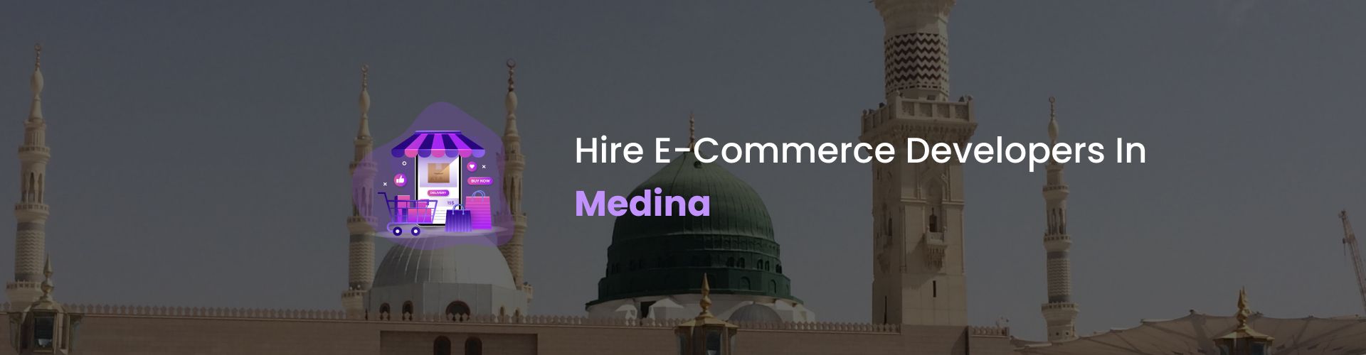 ecommerce developers medina