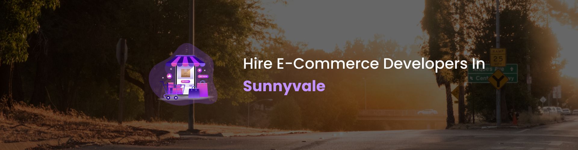 hire ecommerce developers in sunnyvale