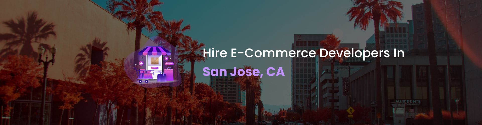 ecommerce development company in san jose