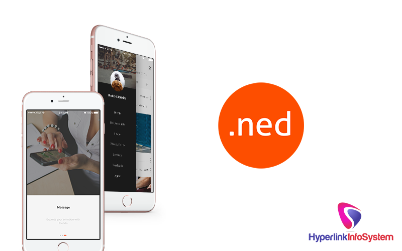 ned app development