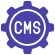 .net cms application development