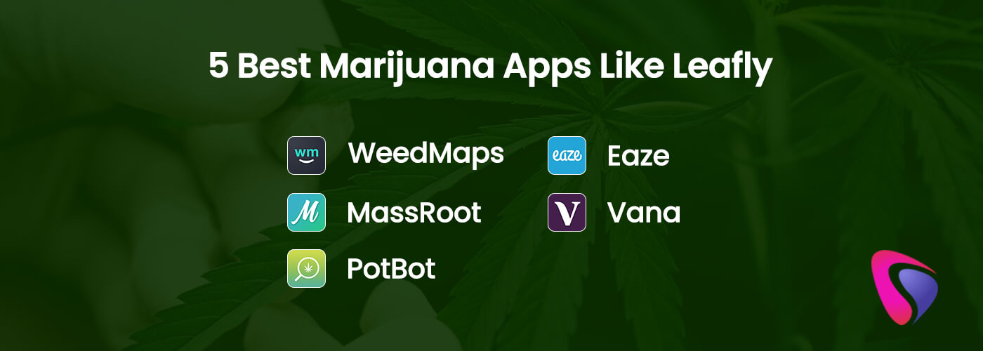 5 best marijuana apps like leafly