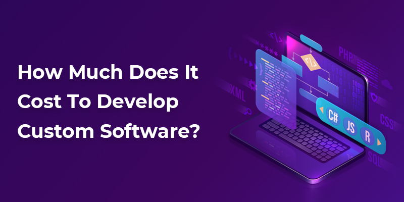 how much does it cost to develop custom software