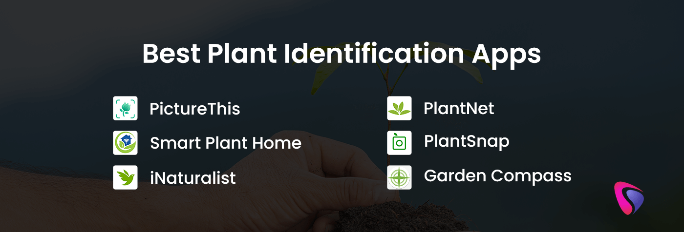 best plant identification apps