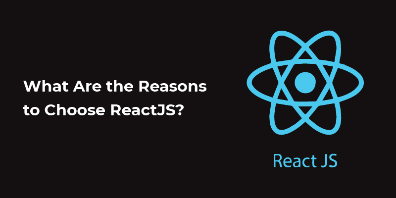 what are the reasons to choose reactjs